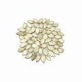 New crop  delicious snack 11mm snow white pumpkin seed with best quality